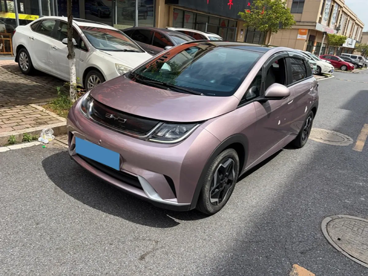 2021 BYD Yuan Pro BEV 50.1KWH,autocango,china used car exporter,china ev exporter,chinese used car exporter,chinese used ev exporter