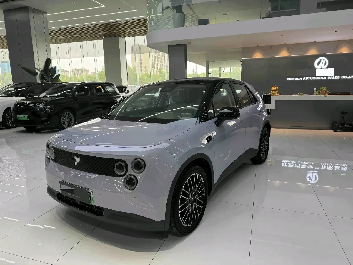 2025 Firefly Firefly BEV,autocango,china used car exporter,china ev exporter,chinese used car exporter,chinese used ev exporter