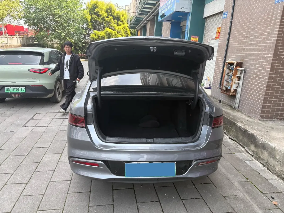 2021 DongFeng FuKang e Elysee BEV 30.7KWH,autocango,china used car exporter,china ev exporter,chinese used car exporter,chinese used ev exporter