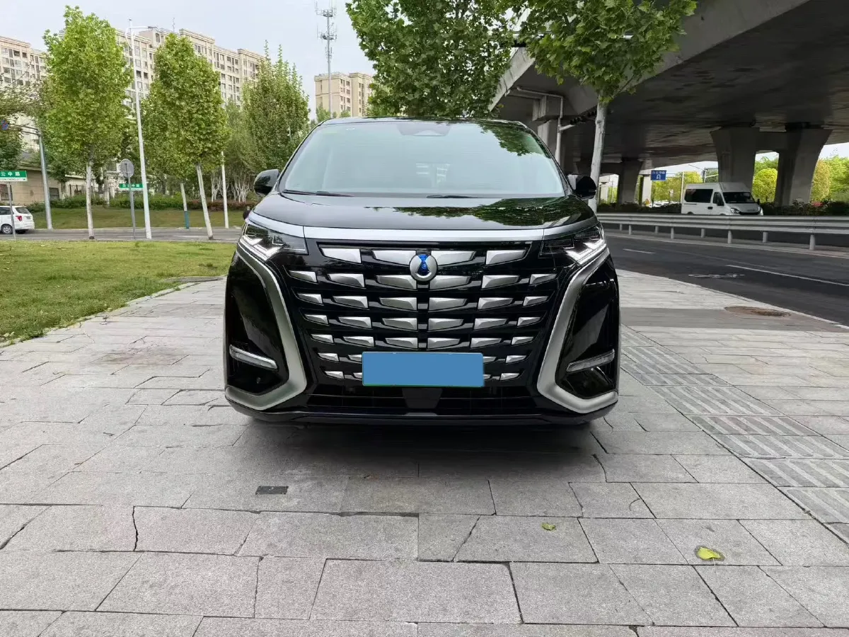 2024 Denza D9 1.5T 139HP L4 E-CVT PHEV 20.39KWH,autocango,china used car exporter,china ev exporter,chinese used car exporter,chinese used ev exporter