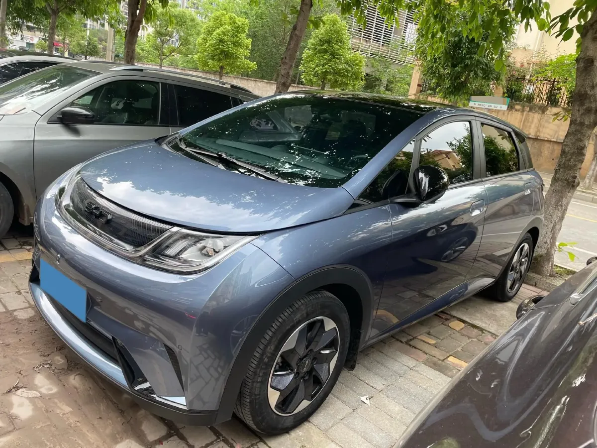 2024 BYD Dolphin BEV 44.928KWH,autocango,china used car exporter,china ev exporter,chinese used car exporter,chinese used ev exporter