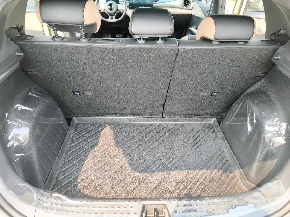 2023 BYD Dolphin BEV 44.928KWH,autocango,china used car exporter,china ev exporter,chinese used car exporter,chinese used ev exporter