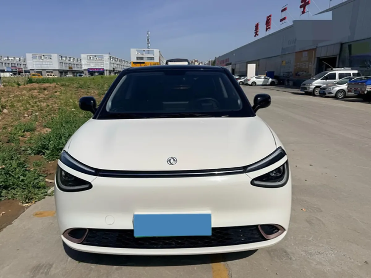 2024 DongFeng eπ 01 BEV 31.45KWH,autocango,china used car exporter,china ev exporter,chinese used car exporter,chinese used ev exporter