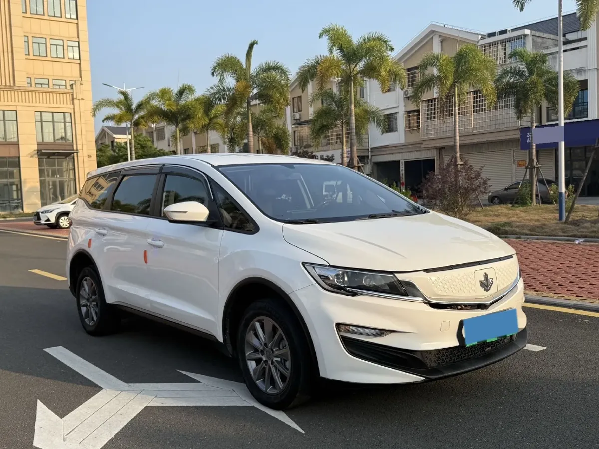 2021 Livan Maple 80v BEV 53KWH,autocango,china used car exporter,china ev exporter,chinese used car exporter,chinese used ev exporter