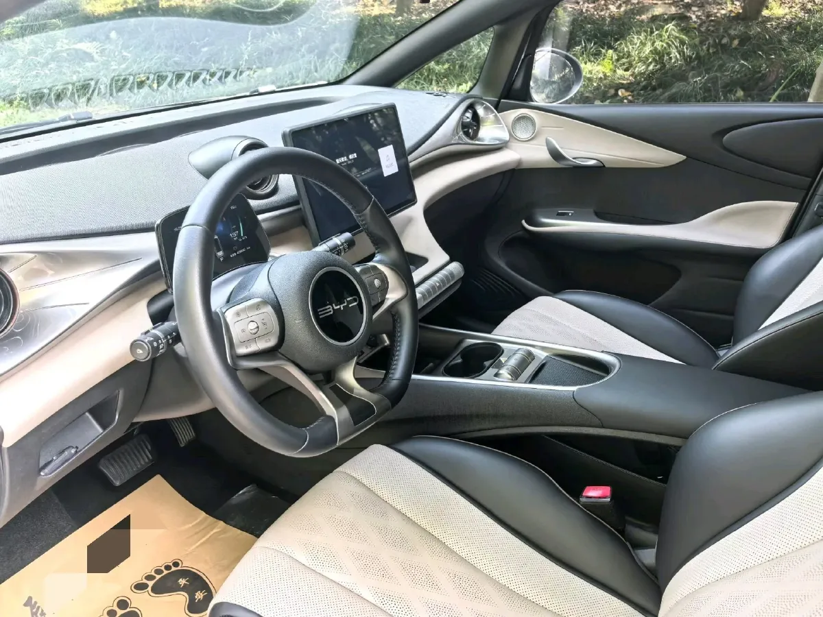 2023 BYD Dolphin BEV 44.928KWH,autocango,china used car exporter,china ev exporter,chinese used car exporter,chinese used ev exporter