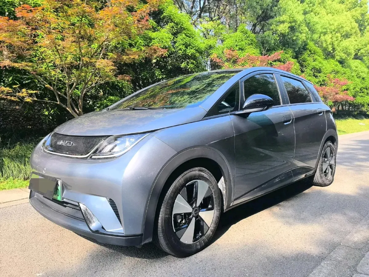 2023 BYD Dolphin BEV 44.928KWH,autocango,china used car exporter,china ev exporter,chinese used car exporter,chinese used ev exporter