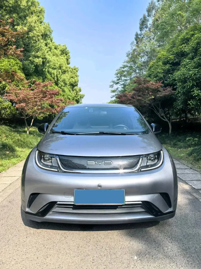 2023 BYD Dolphin BEV 44.928KWH,autocango,china used car exporter,china ev exporter,chinese used car exporter,chinese used ev exporter