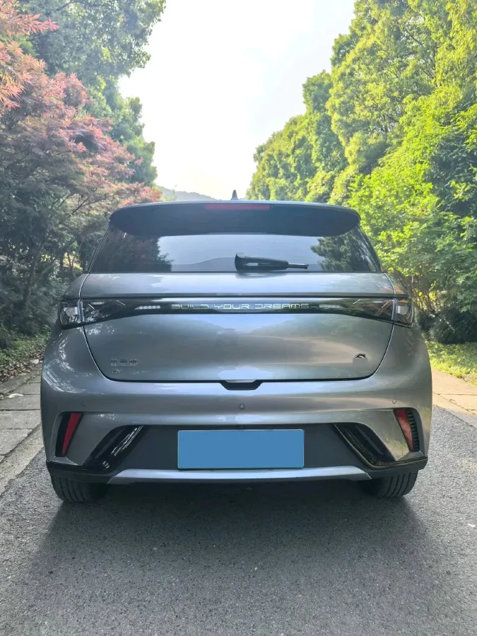 2023 BYD Dolphin BEV 44.928KWH,autocango,china used car exporter,china ev exporter,chinese used car exporter,chinese used ev exporter