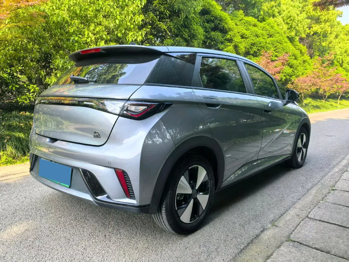 2023 BYD Dolphin BEV 44.928KWH,autocango,china used car exporter,china ev exporter,chinese used car exporter,chinese used ev exporter