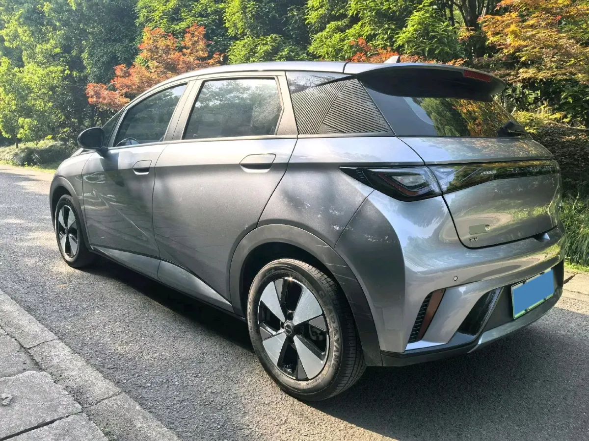 2023 BYD Dolphin BEV 44.928KWH,autocango,china used car exporter,china ev exporter,chinese used car exporter,chinese used ev exporter