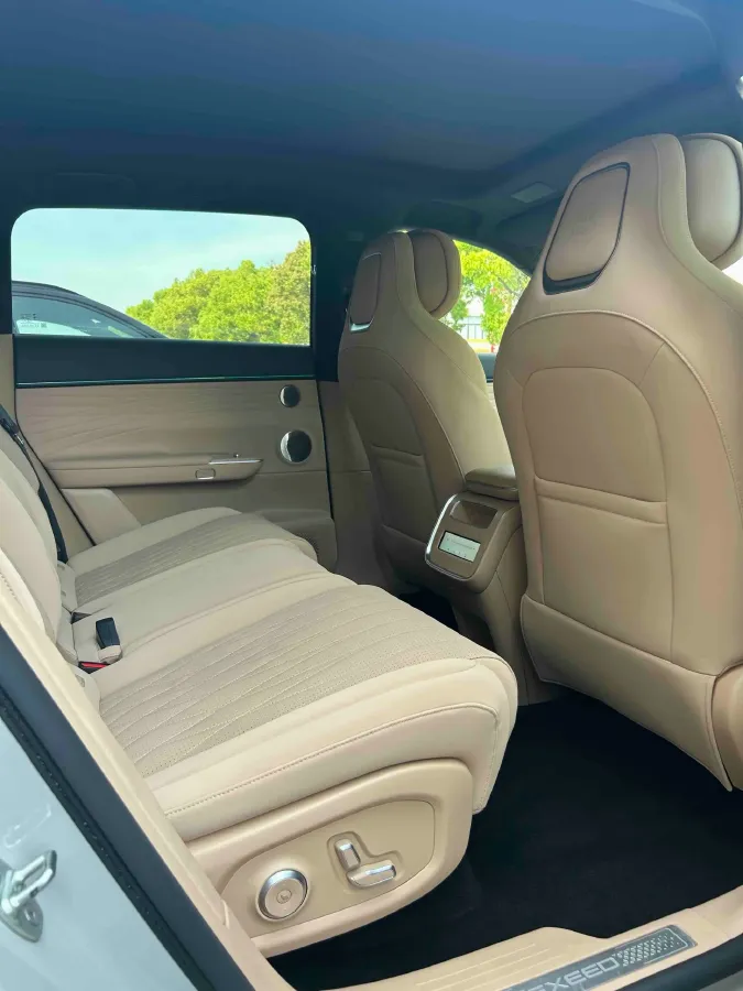 2024 Exceed Sterra ET 1.5T 156HP L4 REEV 41.16KWH,autocango,china used car exporter,china ev exporter,chinese used car exporter,chinese used ev exporter