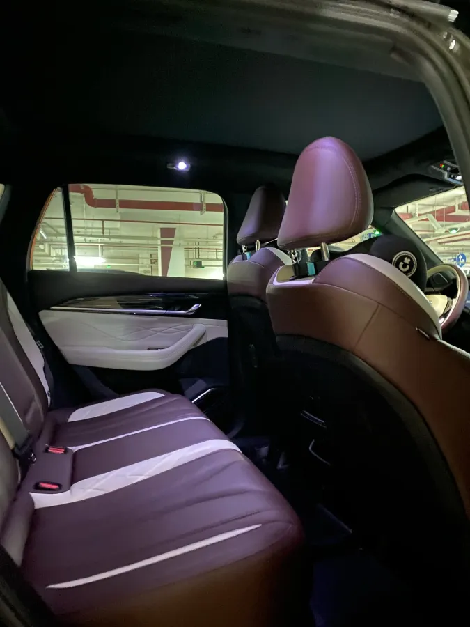 2021 Geely Monjaro 2.0T 218HP L4 7DCT,autocango,china used car exporter,china ev exporter,chinese used car exporter,chinese used ev exporter