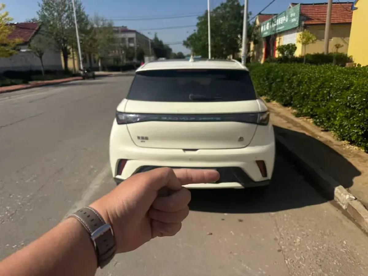 2023 BYD Dolphin BEV 44.928KWH,autocango,china used car exporter,china ev exporter,chinese used car exporter,chinese used ev exporter