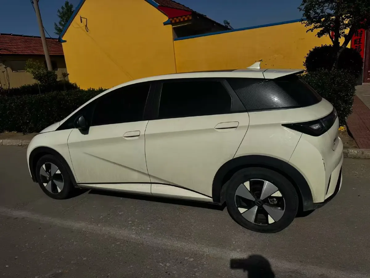 2023 BYD Dolphin BEV 44.928KWH,autocango,china used car exporter,china ev exporter,chinese used car exporter,chinese used ev exporter