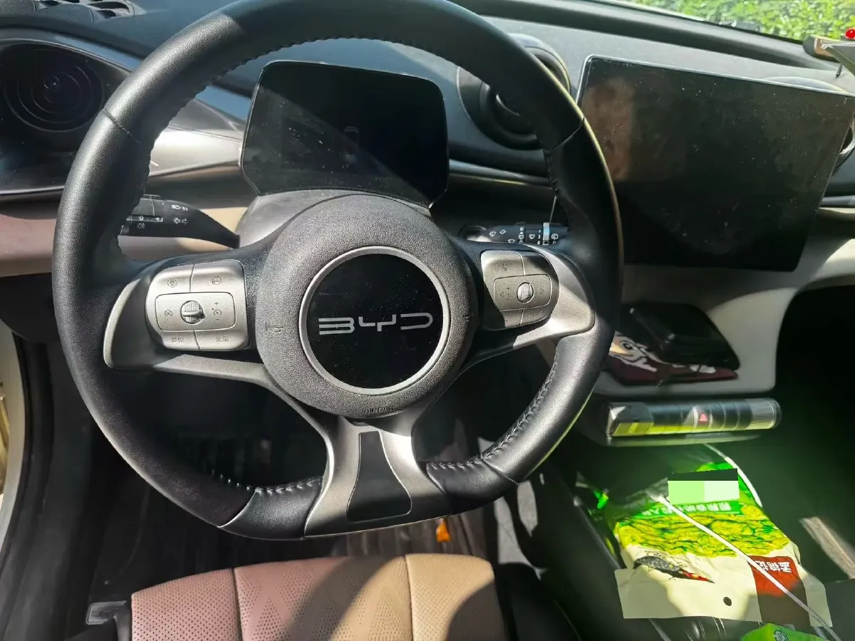 2023 BYD Dolphin BEV 44.928KWH,autocango,china used car exporter,china ev exporter,chinese used car exporter,chinese used ev exporter