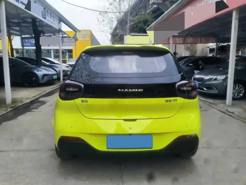 2024 DongFeng Nammi 01 BEV 42.3KWH,autocango,china used car exporter,china ev exporter,chinese used car exporter,chinese used ev exporter