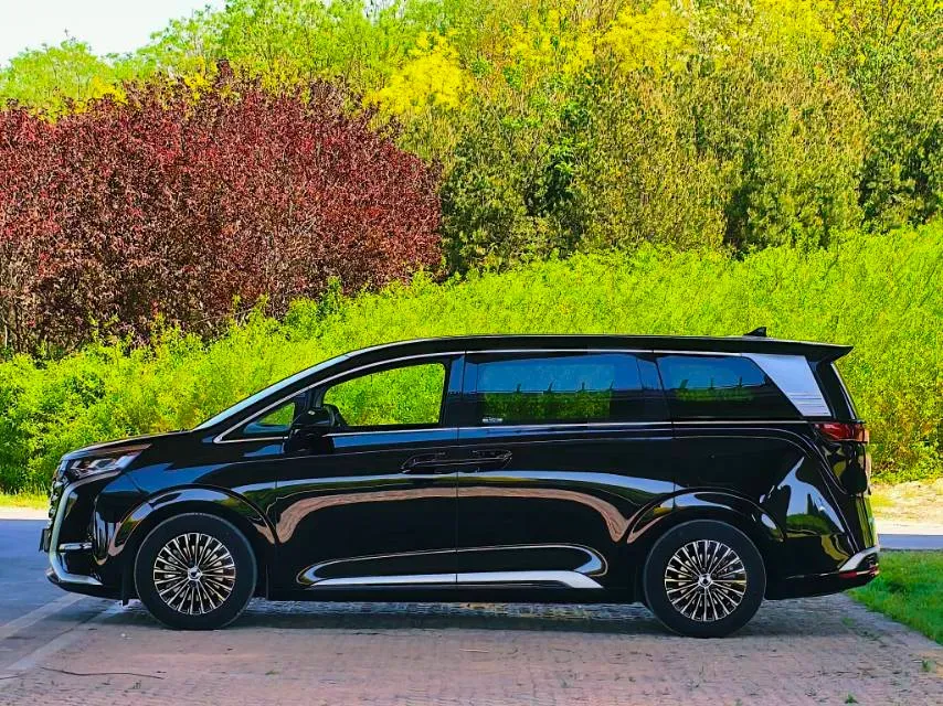 2024 Denza D9 1.5T 139HP L4 E-CVT PHEV 20.39KWH,autocango,china used car exporter,china ev exporter,chinese used car exporter,chinese used ev exporter