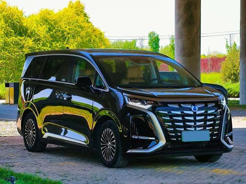 2024 Denza D9 1.5T 139HP L4 E-CVT PHEV 20.39KWH,autocango,china used car exporter,china ev exporter,chinese used car exporter,chinese used ev exporter