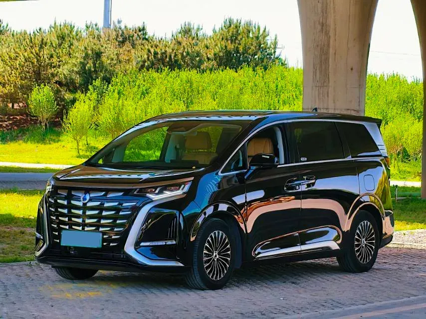 2024 Denza D9 1.5T 139HP L4 E-CVT PHEV 20.39KWH,autocango,china used car exporter,china ev exporter,chinese used car exporter,chinese used ev exporter