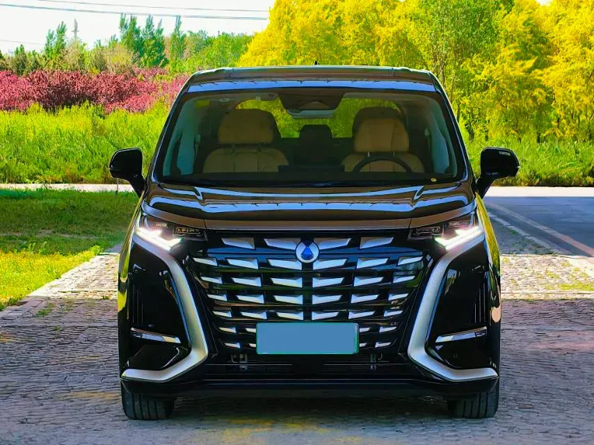 2024 Denza D9 1.5T 139HP L4 E-CVT PHEV 20.39KWH,autocango,china used car exporter,china ev exporter,chinese used car exporter,chinese used ev exporter