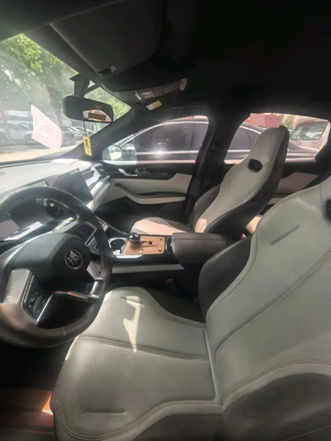 2024 BYD Qin Plus 1.5L 110HP L4 E-CVT PHEV 8.32KWH,autocango,china used car exporter,china ev exporter,chinese used car exporter,chinese used ev exporter