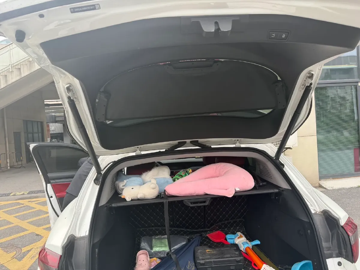 2017 Lexus NX 2.0T 238HP L4 6AT,autocango,china used car exporter,china ev exporter,chinese used car exporter,chinese used ev exporter