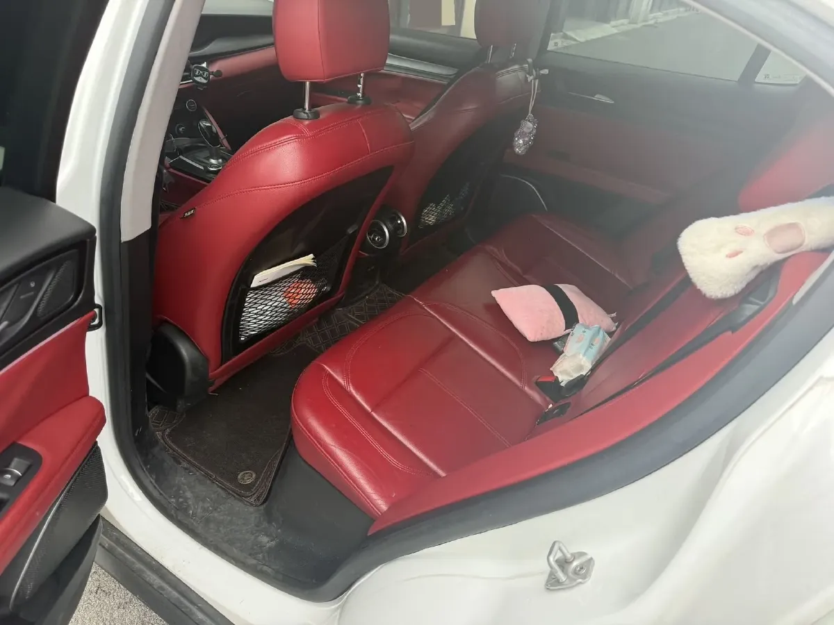 2017 Lexus NX 2.0T 238HP L4 6AT,autocango,china used car exporter,china ev exporter,chinese used car exporter,chinese used ev exporter