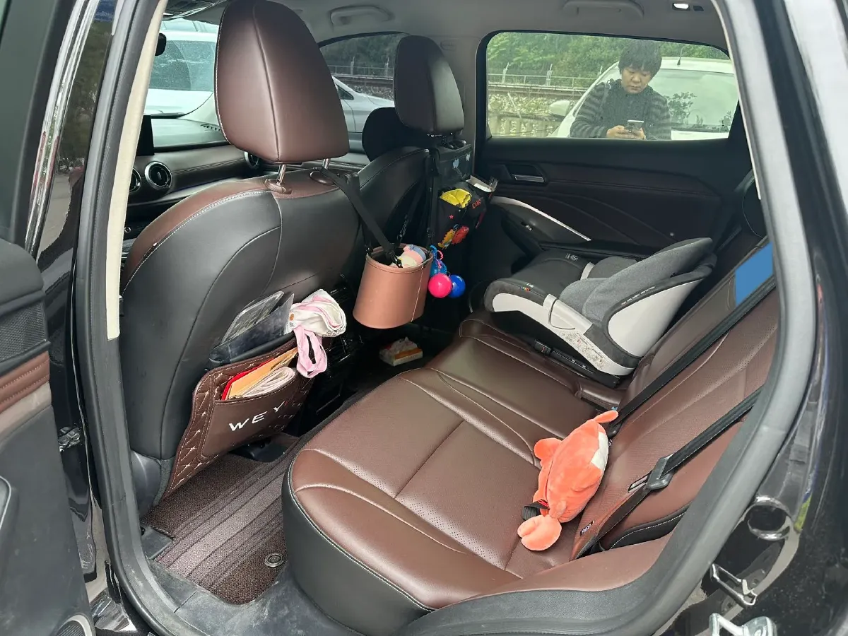 2020 WEY VV6 2.0T 227HP L4 7DCT,autocango,china used car exporter,china ev exporter,chinese used car exporter,chinese used ev exporter