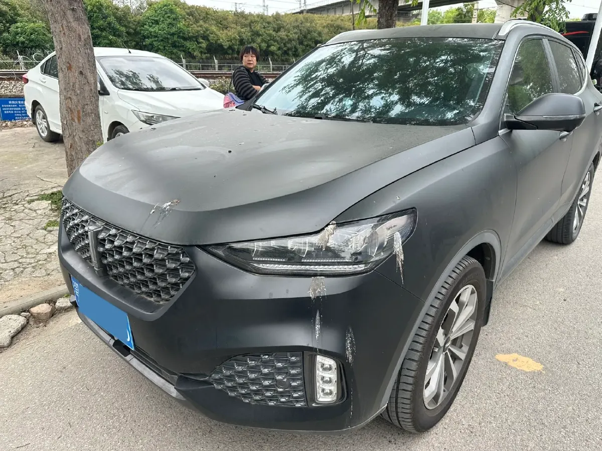 2020 WEY VV6 2.0T 227HP L4 7DCT,autocango,china used car exporter,china ev exporter,chinese used car exporter,chinese used ev exporter