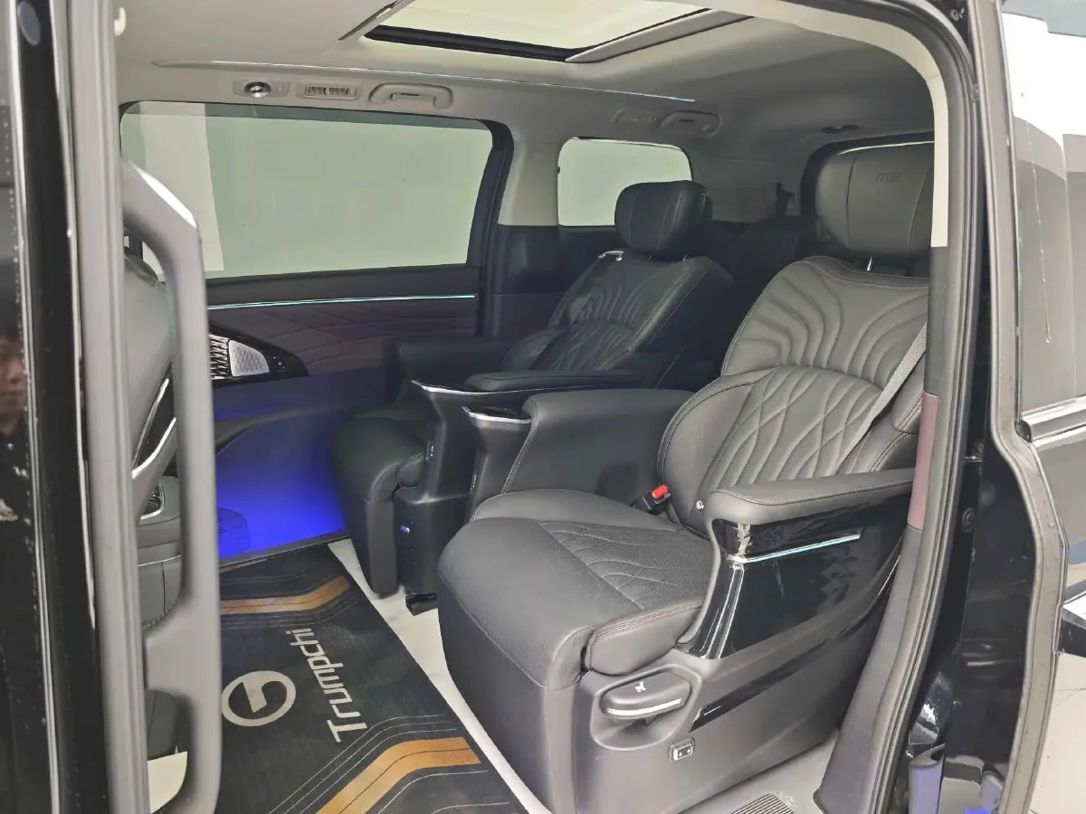 2024 GAC Trumpchi M8 2.0T 252HP L4 8AT,autocango,china used car exporter,china ev exporter,chinese used car exporter,chinese used ev exporter