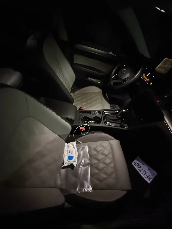 2024 Volkswagen Magotan 2.0T 186HP L4 7DCT,autocango,china used car exporter,china ev exporter,chinese used car exporter,chinese used ev exporter