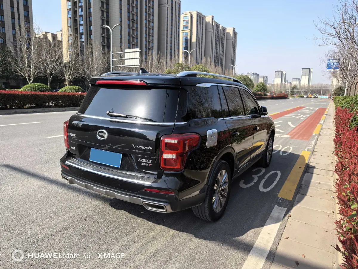 2021 GAC Trumpchi GS8 2.0T 252HP L4 6AT,autocango,china used car exporter,china ev exporter,chinese used car exporter,chinese used ev exporter