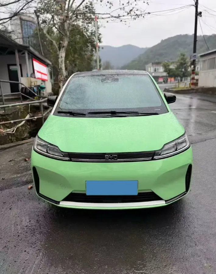 2021 BYD Qin Plus BEV 57KWH,autocango,china used car exporter,china ev exporter,chinese used car exporter,chinese used ev exporter