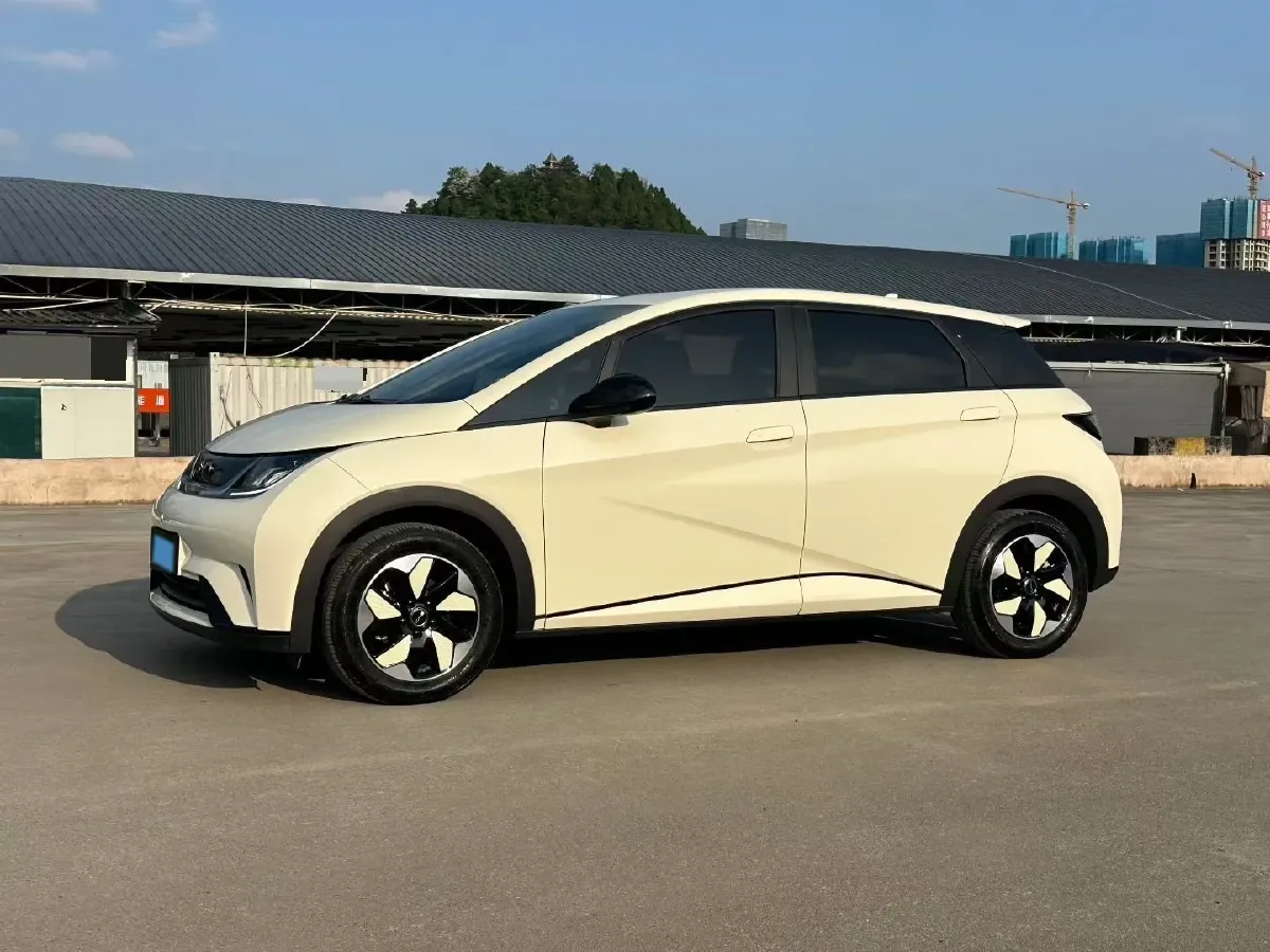 2025 BYD Dolphin BEV 44.928KWH,autocango,china used car exporter,china ev exporter,chinese used car exporter,chinese used ev exporter