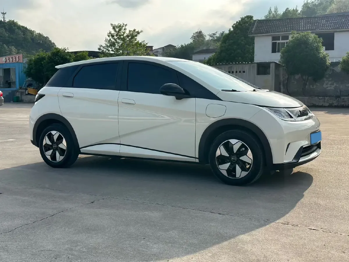 2025 BYD Dolphin BEV 44.928KWH,autocango,china used car exporter,china ev exporter,chinese used car exporter,chinese used ev exporter
