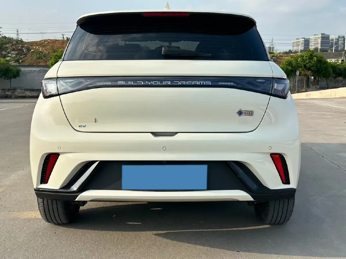 2025 BYD Dolphin BEV 44.928KWH,autocango,china used car exporter,china ev exporter,chinese used car exporter,chinese used ev exporter