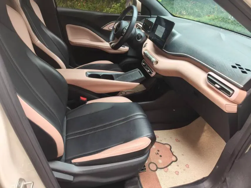 2024 BYD Seagull BEV 30.08KWH,autocango,china used car exporter,china ev exporter,chinese used car exporter,chinese used ev exporter