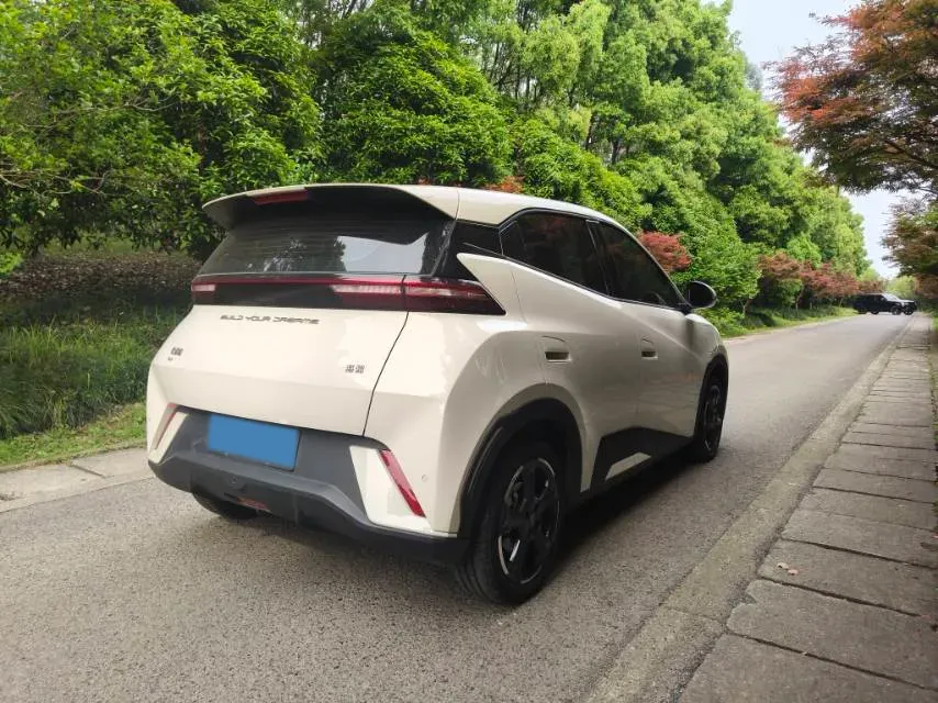 2024 BYD Seagull BEV 30.08KWH,autocango,china used car exporter,china ev exporter,chinese used car exporter,chinese used ev exporter