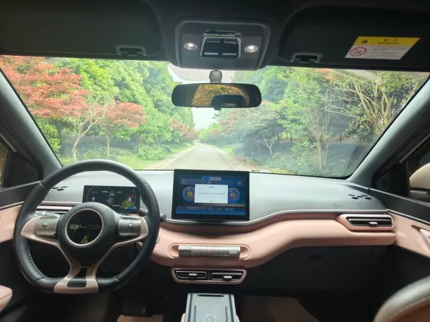 2024 BYD Seagull BEV 30.08KWH,autocango,china used car exporter,china ev exporter,chinese used car exporter,chinese used ev exporter