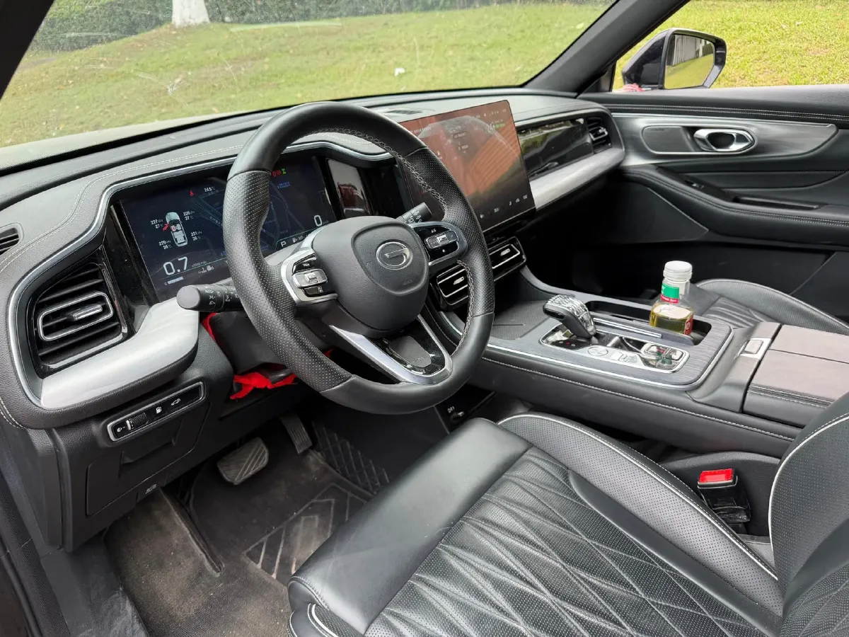 2024 GAC Trumpchi GS8 2.0T 252HP L4 8AT,autocango,china used car exporter,china ev exporter,chinese used car exporter,chinese used ev exporter