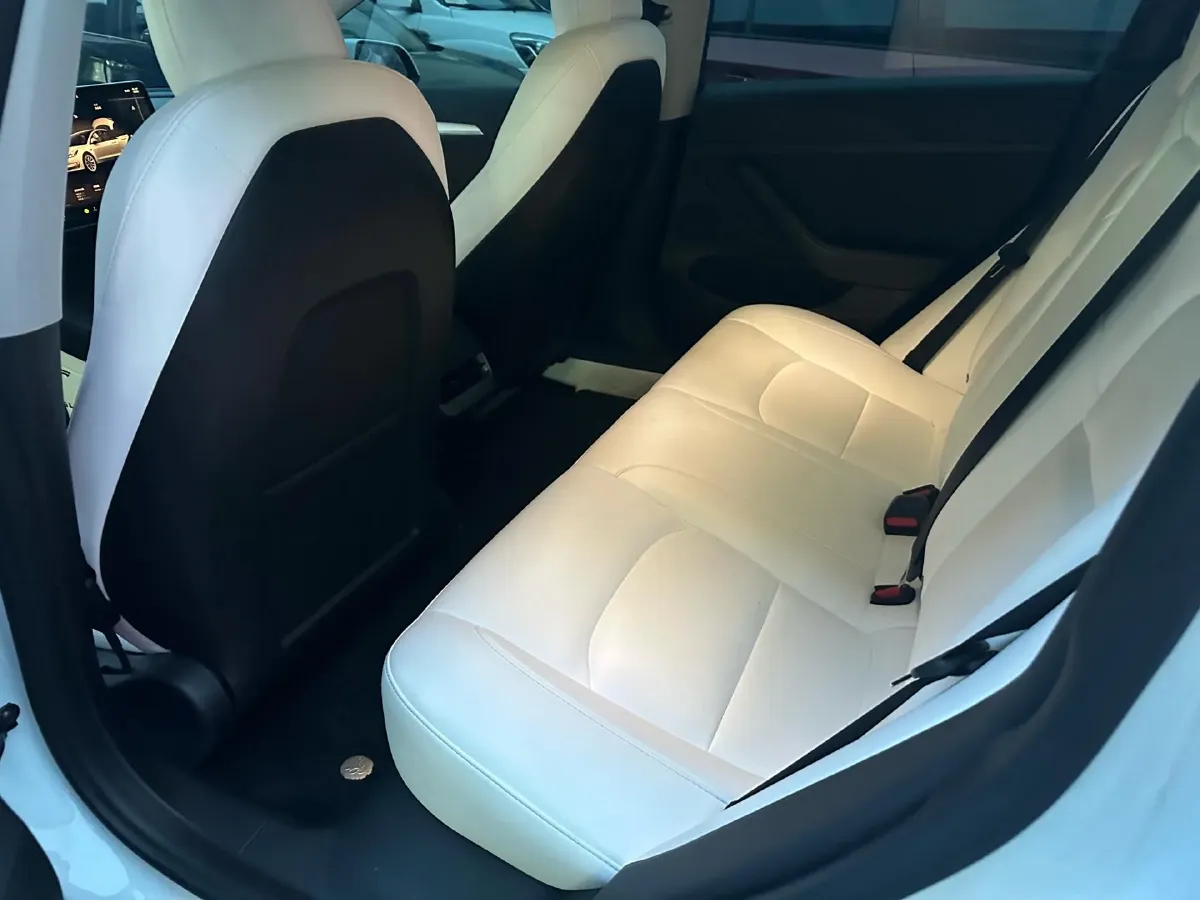 2022 Tesla Model 3 BEV 60KWH,autocango,china used car exporter,china ev exporter,chinese used car exporter,chinese used ev exporter