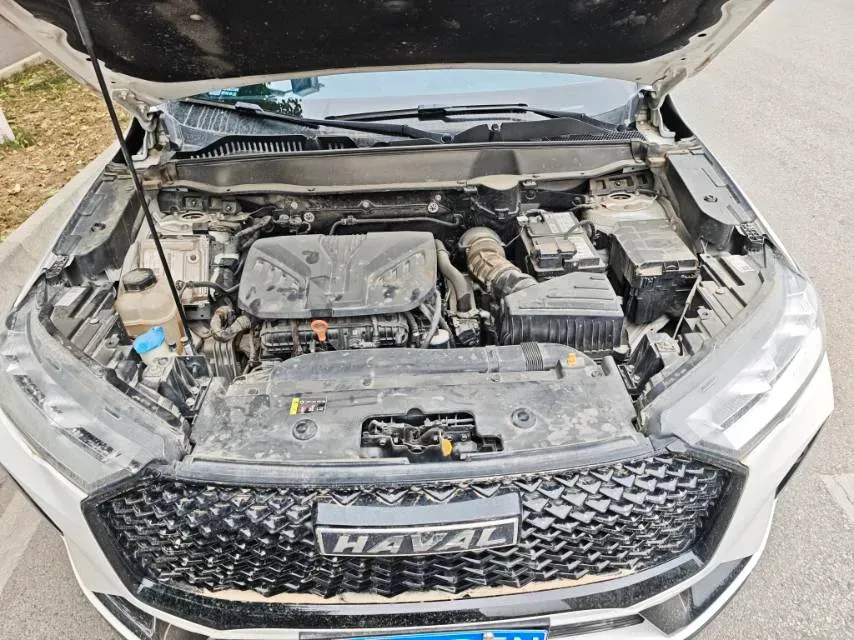 2021 Haval H6 2.0T 211HP L4 7DCT,autocango,china used car exporter,china ev exporter,chinese used car exporter,chinese used ev exporter