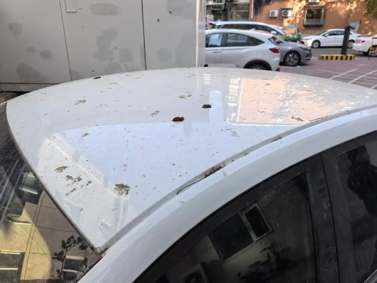 2023 Geely Emgrand 1.5L 127HP L4 CVT,autocango,china used car exporter,china ev exporter,chinese used car exporter,chinese used ev exporter