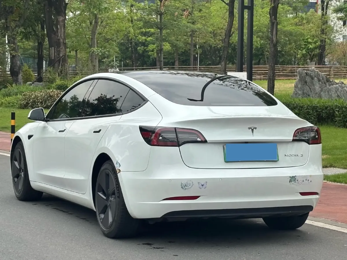 2021 Tesla Model 3 BEV 55KWH,autocango,china used car exporter,china ev exporter,chinese used car exporter,chinese used ev exporter
