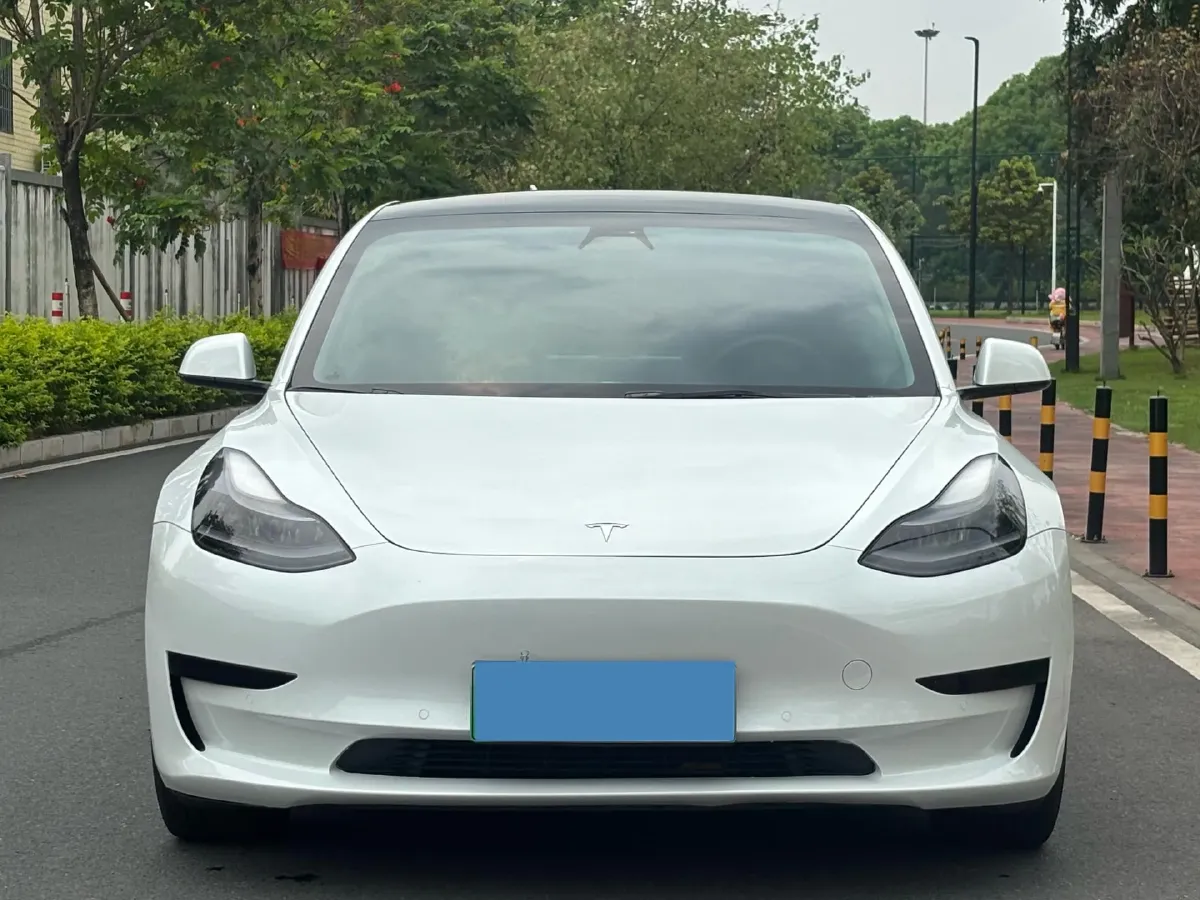 2021 Tesla Model 3 BEV 55KWH,autocango,china used car exporter,china ev exporter,chinese used car exporter,chinese used ev exporter