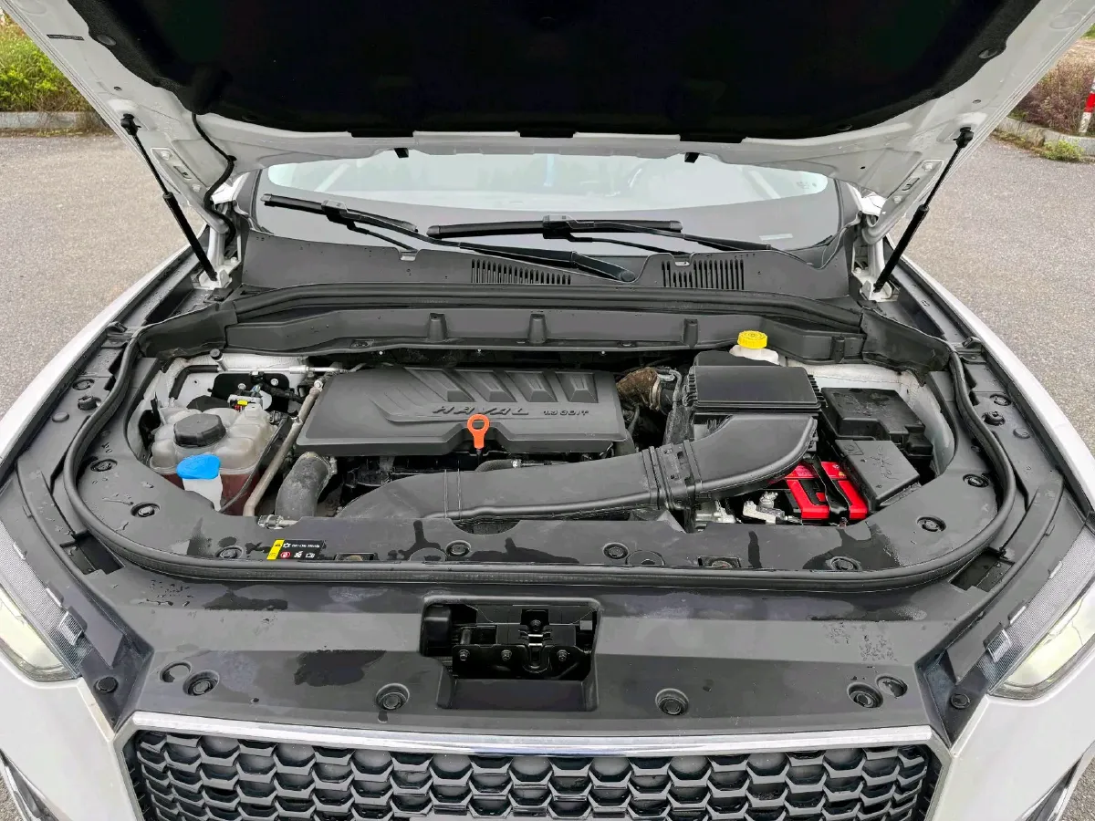 2020 Haval F5 1.5T 169HP L4 7DCT,autocango,china used car exporter,china ev exporter,chinese used car exporter,chinese used ev exporter