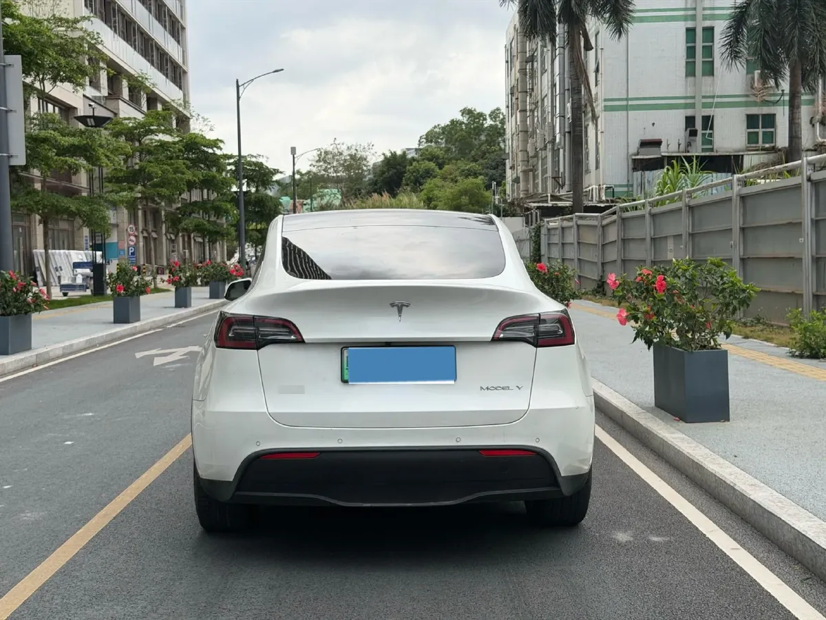 2021 Tesla Model 3 BEV 76.8KWH,autocango,china used car exporter,china ev exporter,chinese used car exporter,chinese used ev exporter