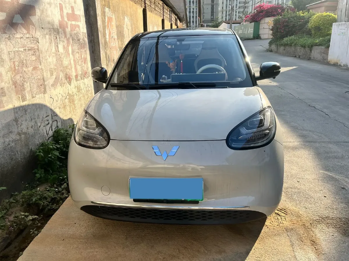2024 WuLing BinGuo BEV 31.9KWH,autocango,china used car exporter,china ev exporter,chinese used car exporter,chinese used ev exporter