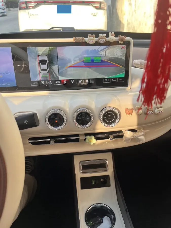 2024 WuLing BinGuo BEV 31.9KWH,autocango,china used car exporter,china ev exporter,chinese used car exporter,chinese used ev exporter