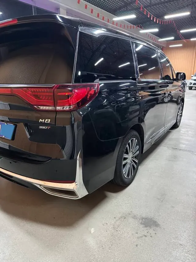 2021 GAC Trumpchi M8 2.0T 252HP L4 8AT,autocango,china used car exporter,china ev exporter,chinese used car exporter,chinese used ev exporter